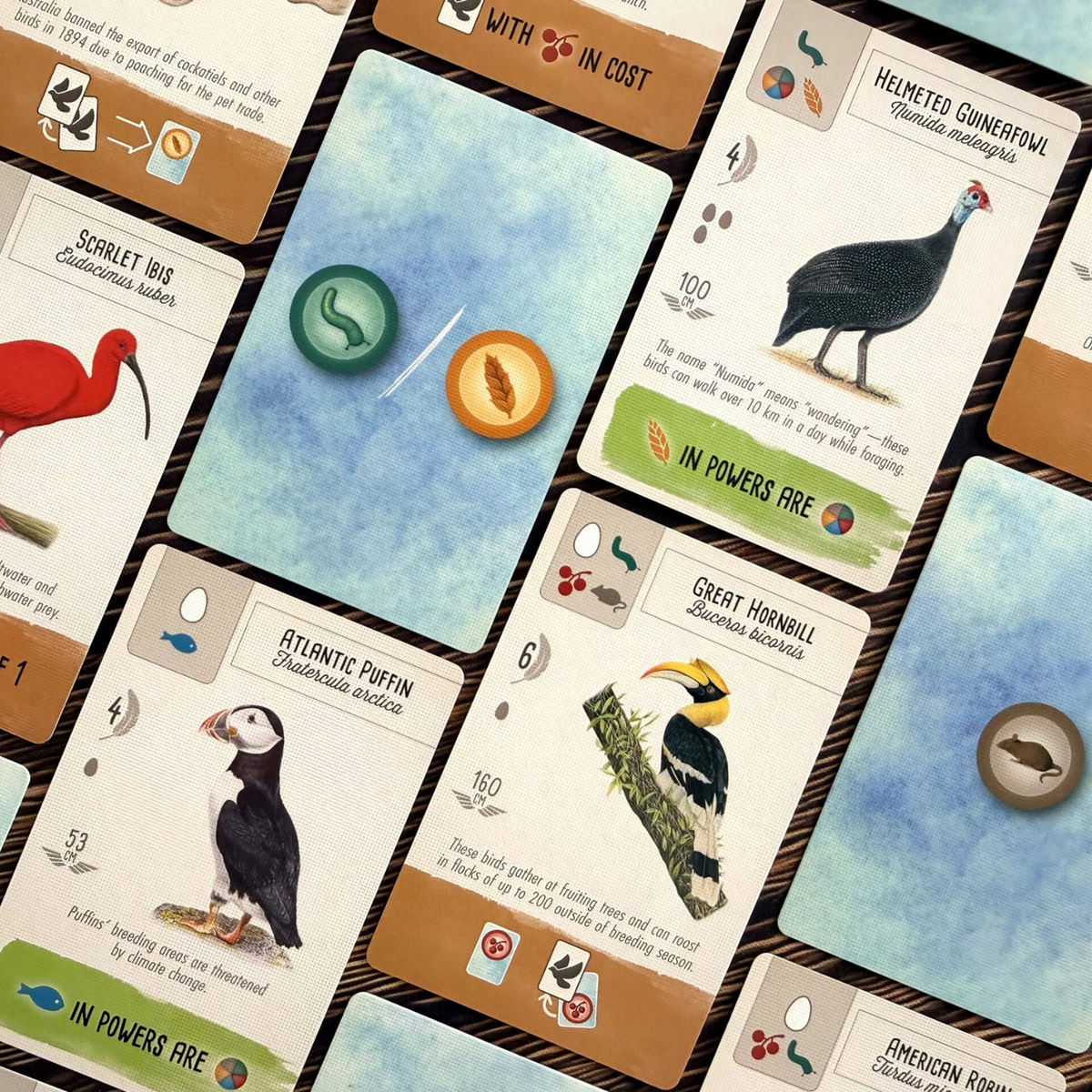 Wingspan Pocket (PREORDER)