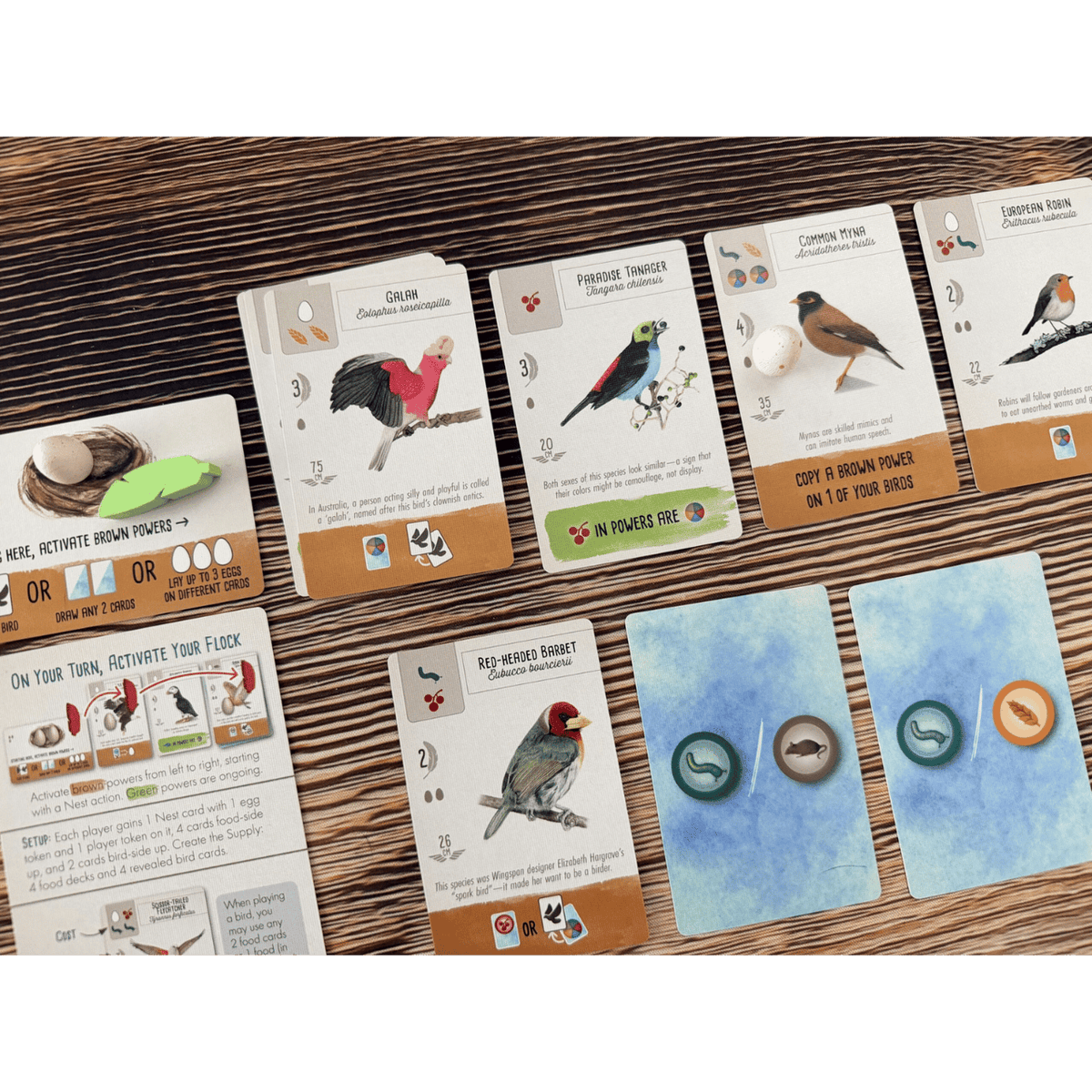 Wingspan Pocket (PREORDER)