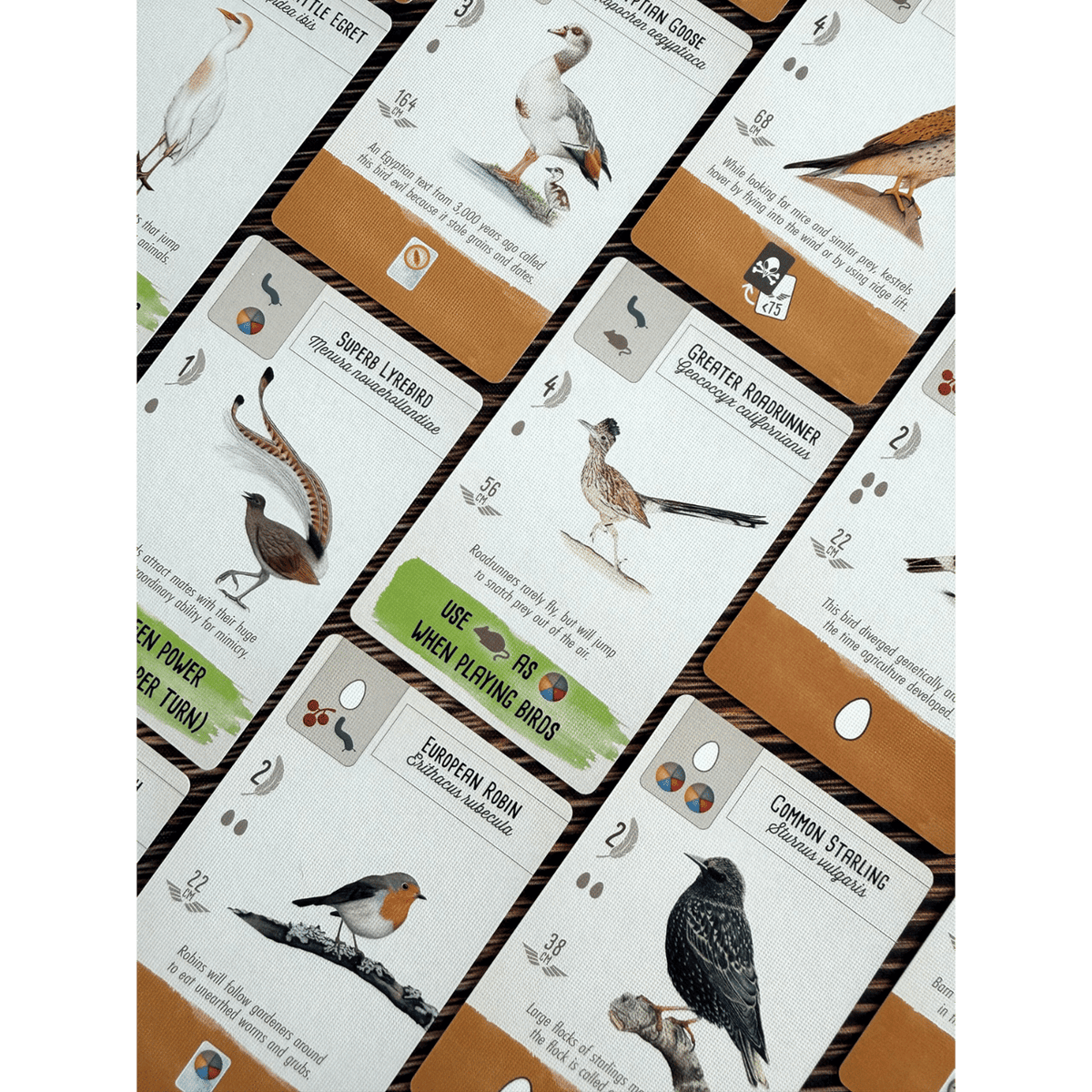 Wingspan Pocket (PREORDER)