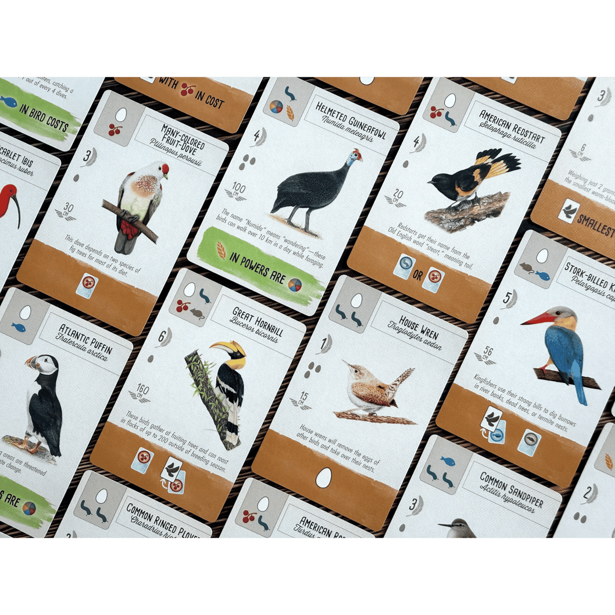 Wingspan Pocket (PREORDER)