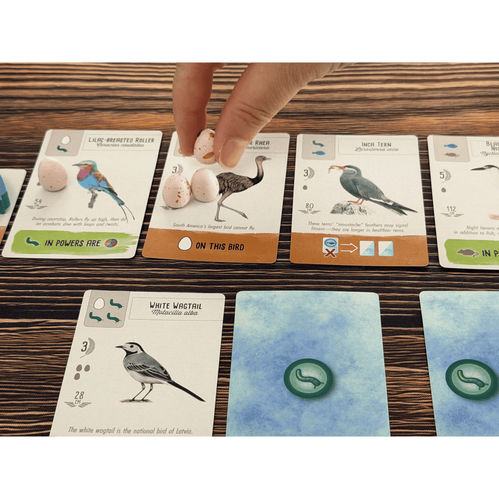 Wingspan Pocket (PREORDER)